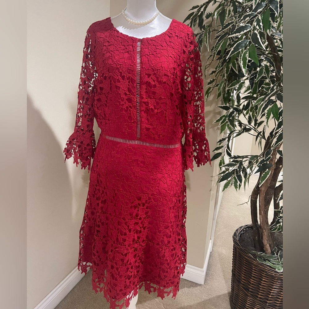 Allergan lace cocktail dress